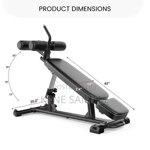 Commercial Ab Bench