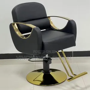 Classic Unisex Salon Chair Mf-04