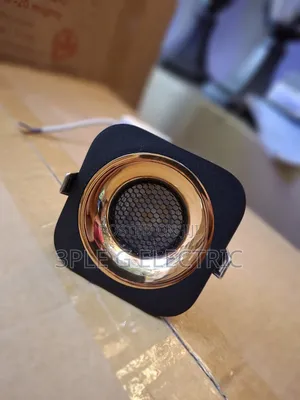 BLK Gd With Net Design Single Spot Light