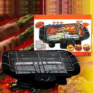 Electric Barbecue Grill