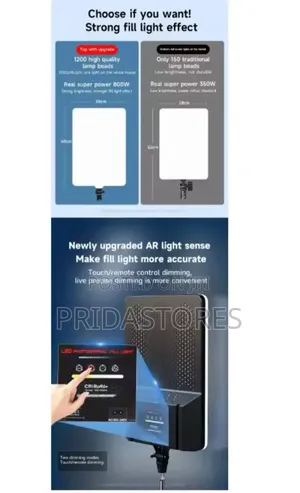Professional Photography Lighting Kit