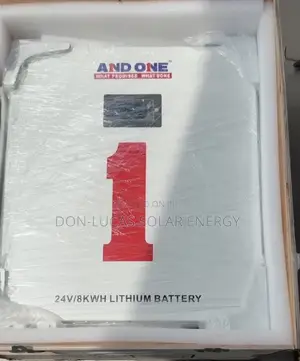 8kwh 24v and One Lithium Ion Battery