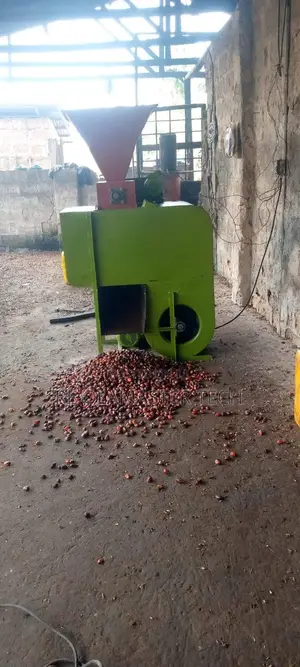 Palm Fruit Air Sifter