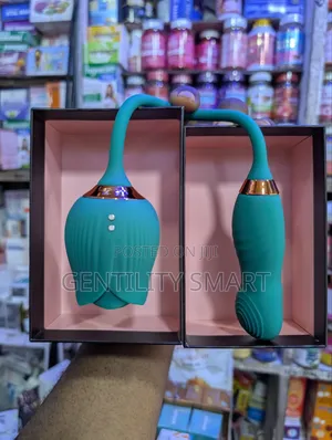 2 in 1 Women Toys