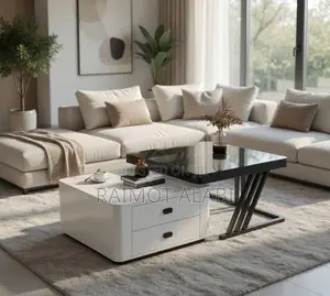 2in1 Real Marble Center Table