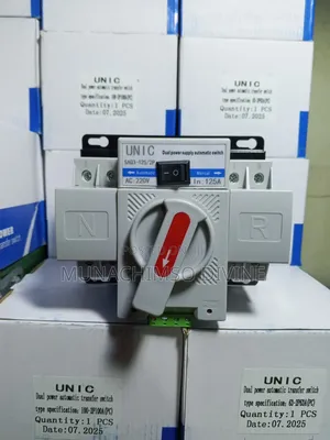 125ah 2pole Automatic Changeover
