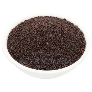Mustard Seed