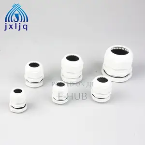 Cable Gland Pg10