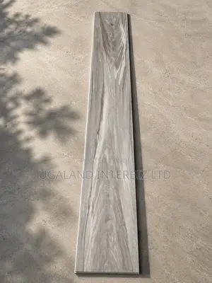 Modern Gray SPC Plank