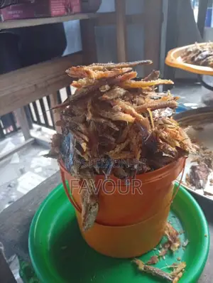 Deboned Bonga Fish a Painter So Tasty