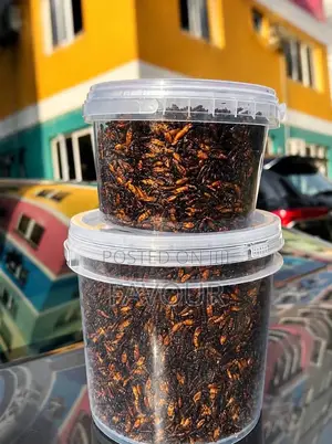 Edible Termites (Aku) a Painter