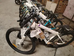 Unisex Bicycles