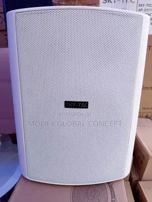 Wall Mounted Pa Speaker