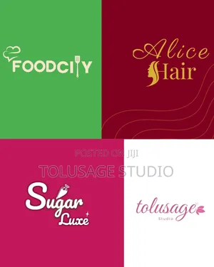 Professional Flyer And Logo Designer