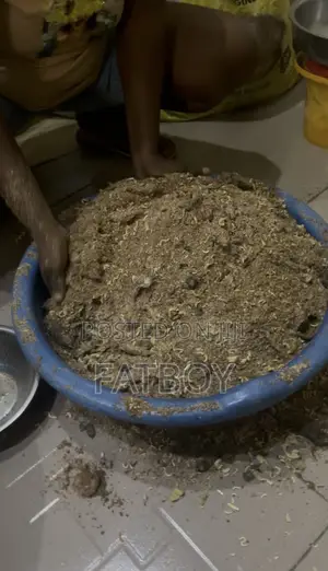 Formulated Organic Food for Dog