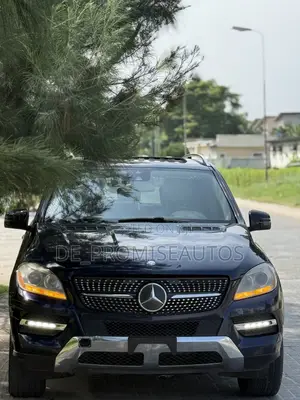 Mercedes-Benz M Class 2013 Blue