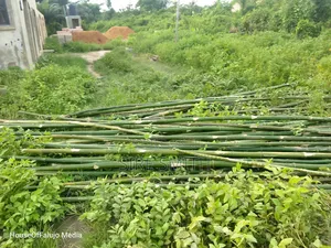 Dry Land in Epe Lagos