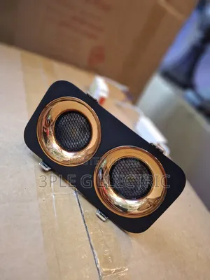 Black and Gold Body Heavy Cast Double Spot Light
