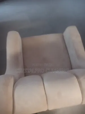 Couch/Sofa, Rug Upholstery Cleaning