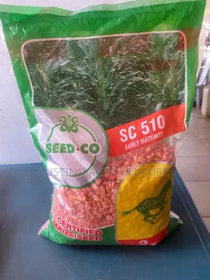 Hybrid Maize Premier and Seed.Co