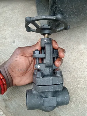 1"X800 Sw Globe Valve