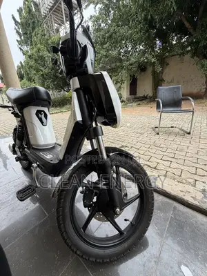 Electric Bike