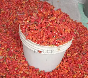 Dried Short Peppers a Painter
