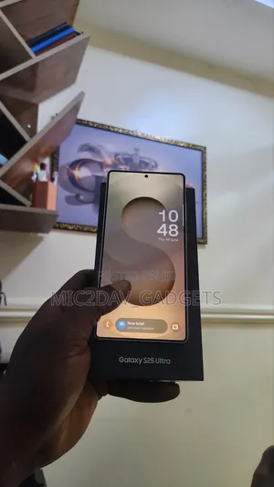Samsung Galaxy S25 Ultra 256 GB Gray