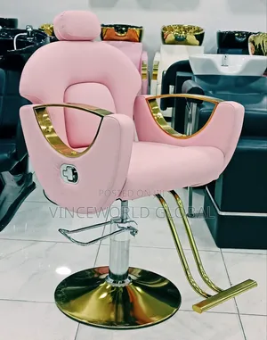 Pink Unisex Salon Chair