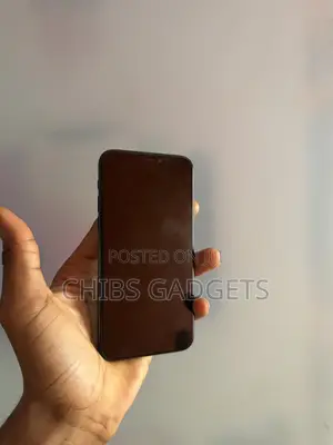 Apple iPhone 11 Pro 256 GB Gray