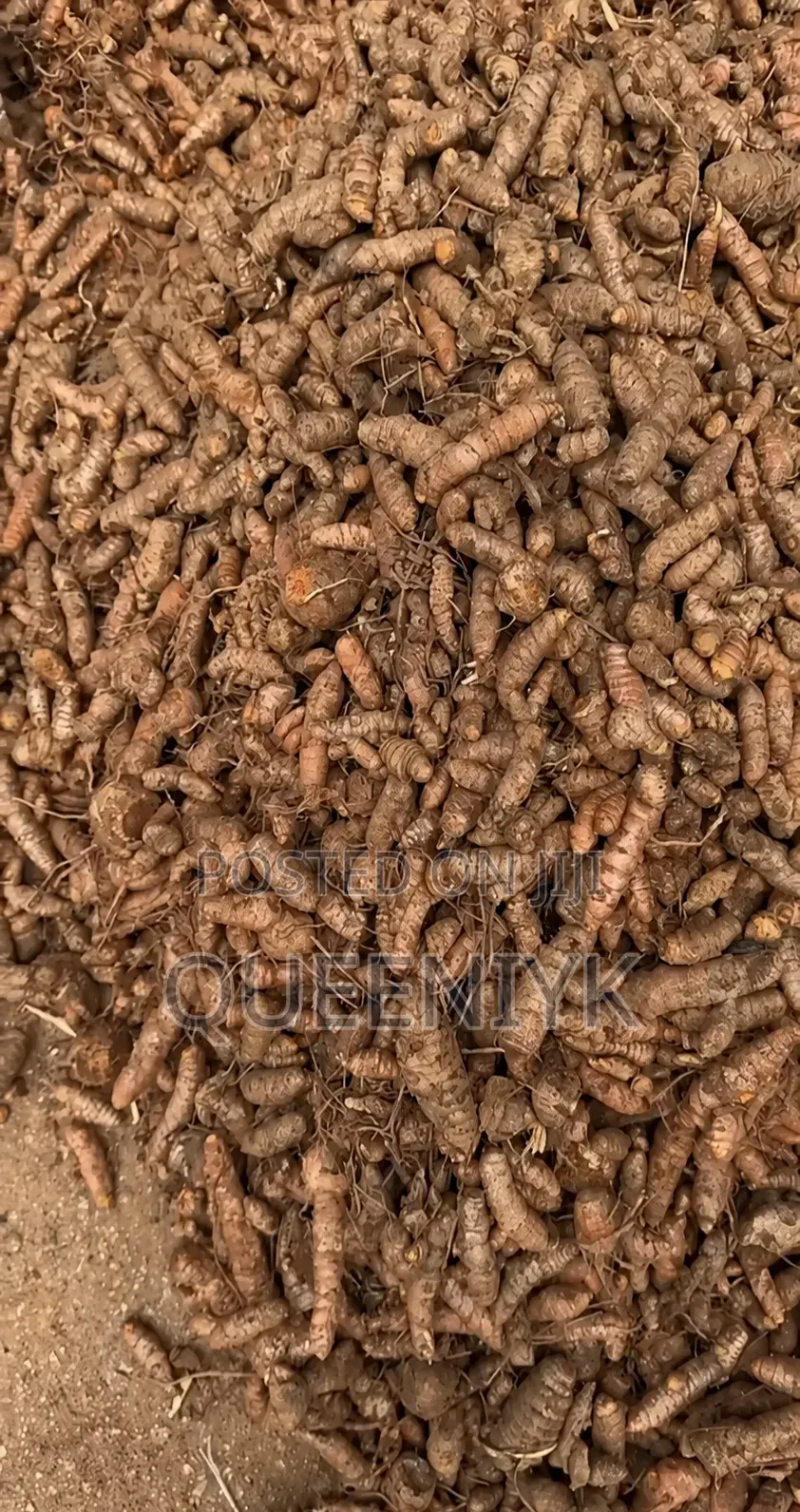 Tumeric (Fresh)