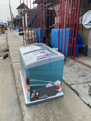 Snowsea Ice Cream Display Chiller