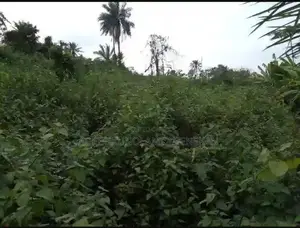 Acres of Farmland for Sale