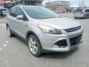 Ford Escape 2013 Silver