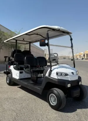 New Flyjet 2024 White