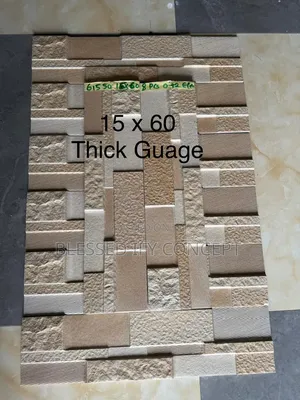 High Quality Outside Wall Tiles, Fence, Pillars, Tv Console Etc, 15x60