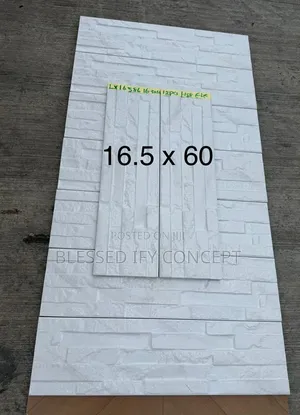 White Quality 16.5x60 Outside Wall Tiles