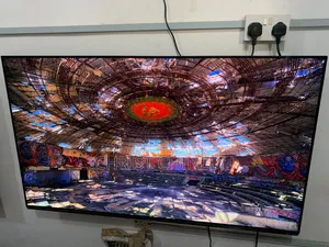 Panasonic Oled 55inches Real Picture Quality