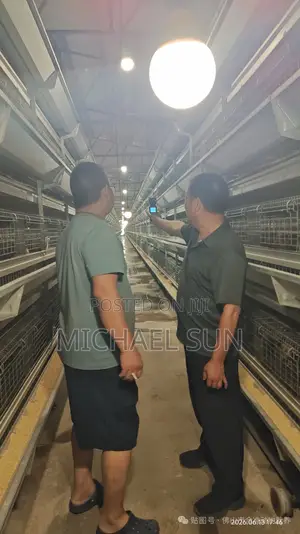Poultry Farming Cage Chicken Layer Hens Cage Battery Cages
