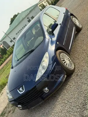 Peugeot 307 2007 Blue