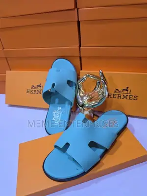 Blue__hermes Slipper