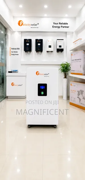 Felicity Solar 5kwh 51.2v Lithium Battery Energy Storage System