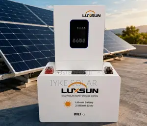 2.5kwh 12v Luxsun Lithium Ion Battery