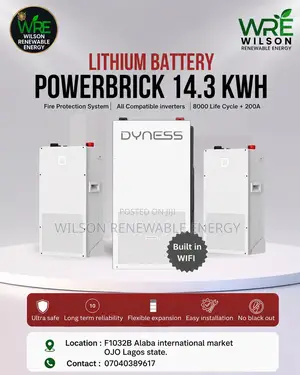 14.3kwh Dyness Lithium Battery