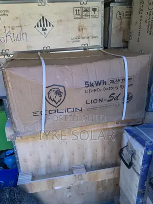 5kwh 24v Ecolion Lithium Ion Battery