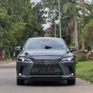 Lexus RX 2024 Gray