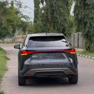 Lexus RX 2024 Gray