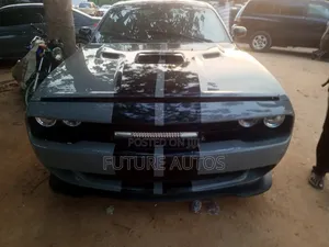 Dodge Charger 2009 Gray