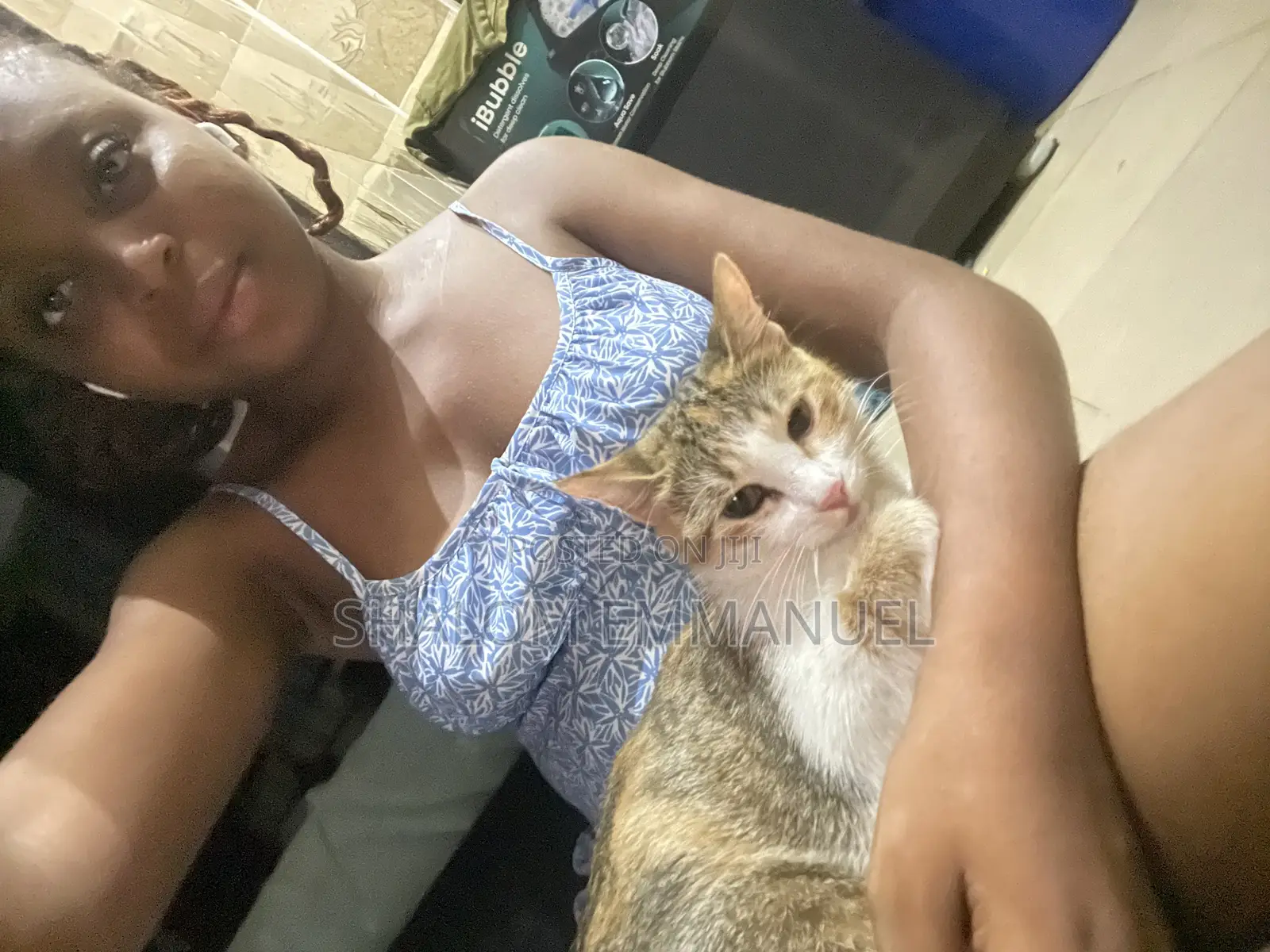 Pet Sitter