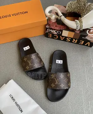 Louis Vuitton Luxury Carton Slides/Slippers